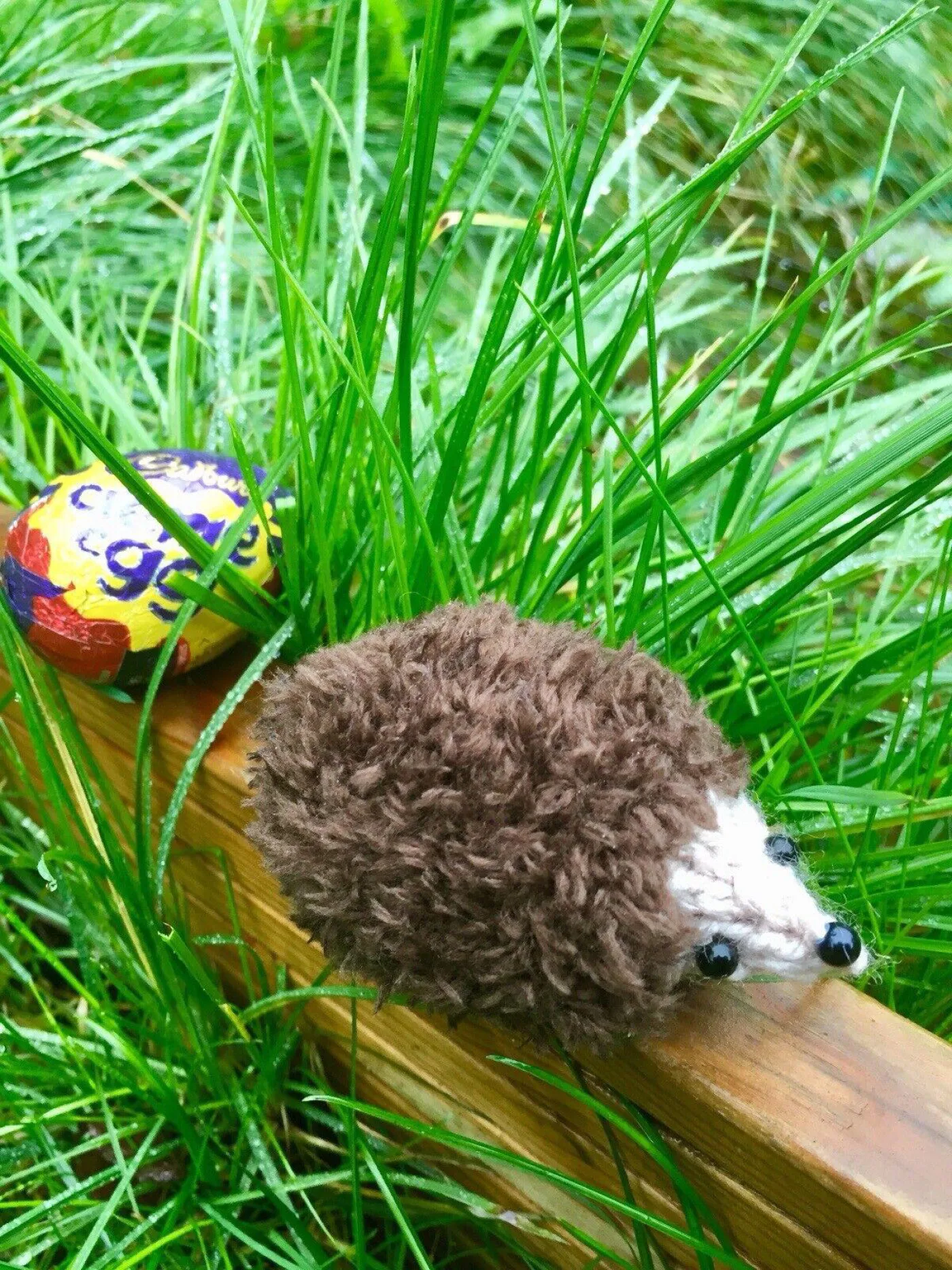 Hand knitted hedgehog creme egg cover outdoors